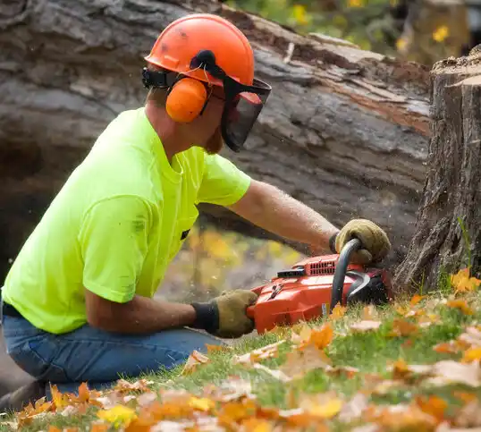 tree services Wineglass